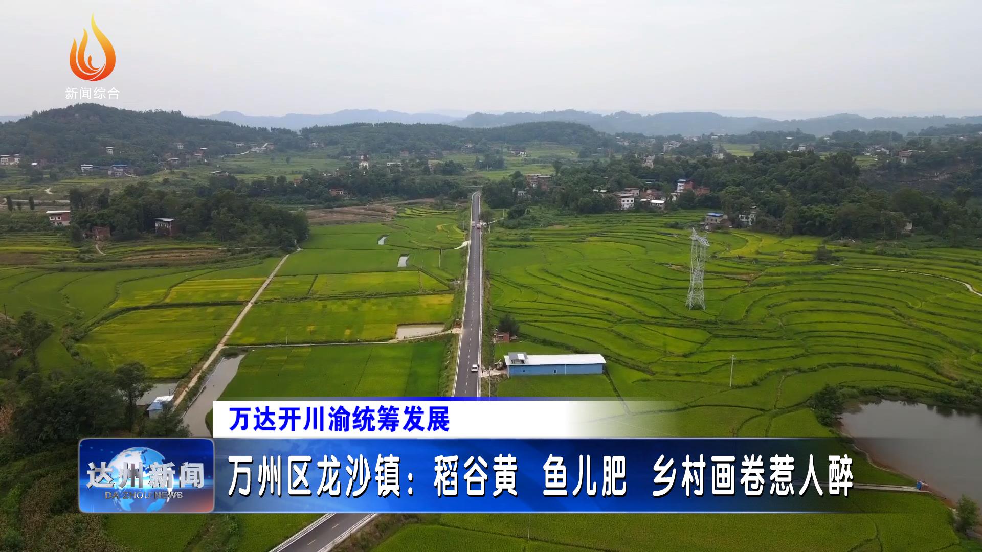 万州区龙沙镇稻谷黄鱼儿肥乡村画卷惹人醉