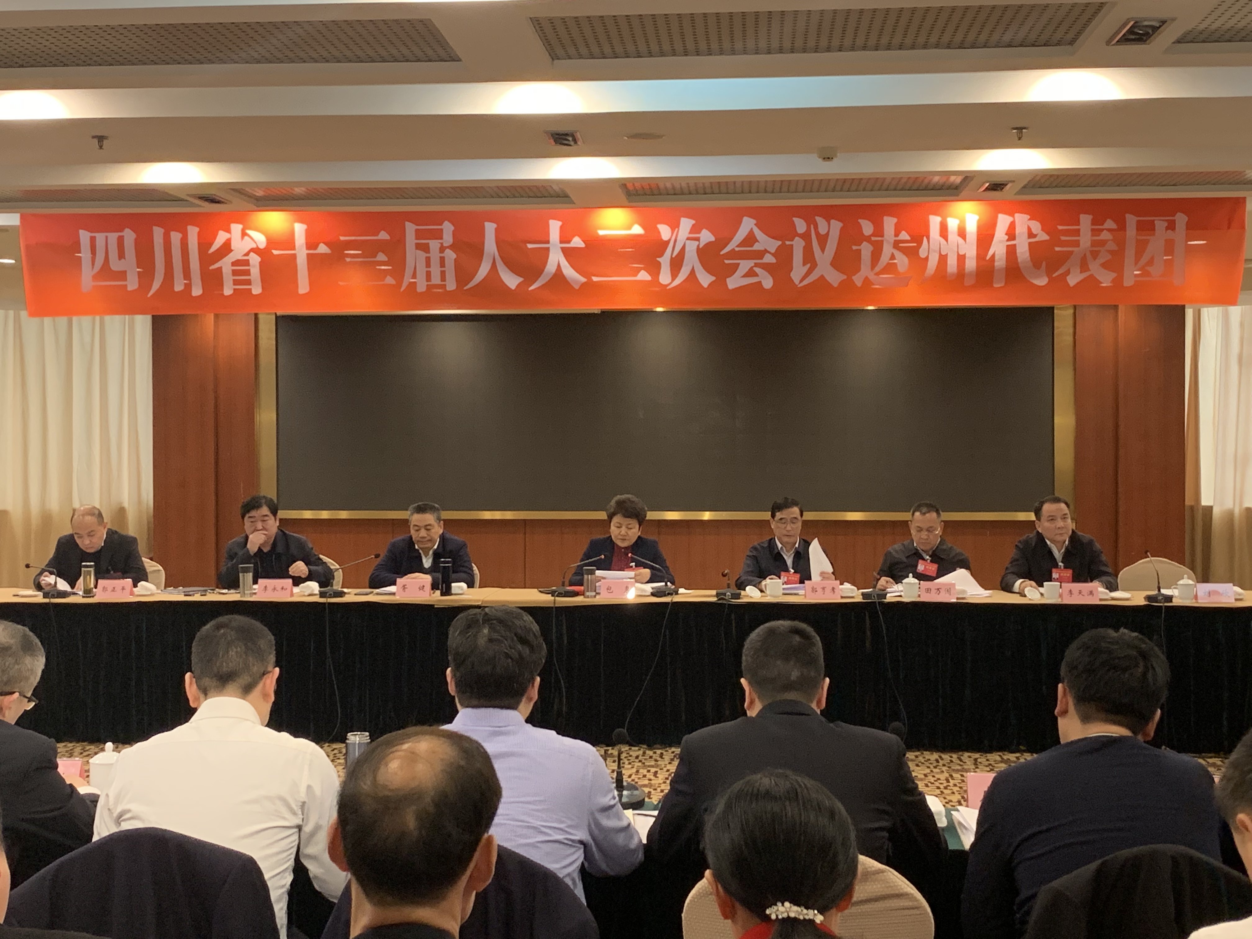 达州代表团审议省人大常委会工作报告