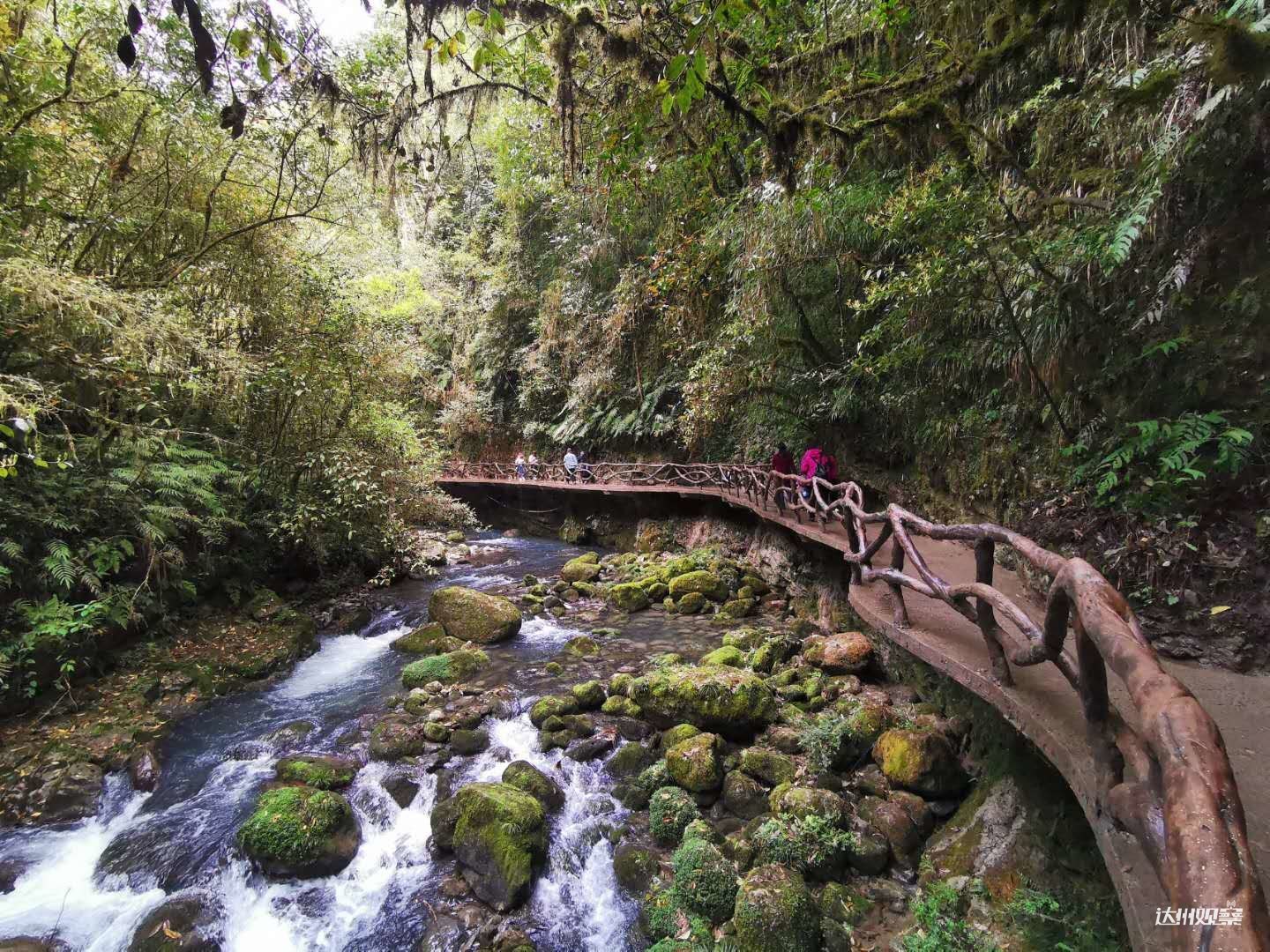 巴山大峡谷桃溪谷