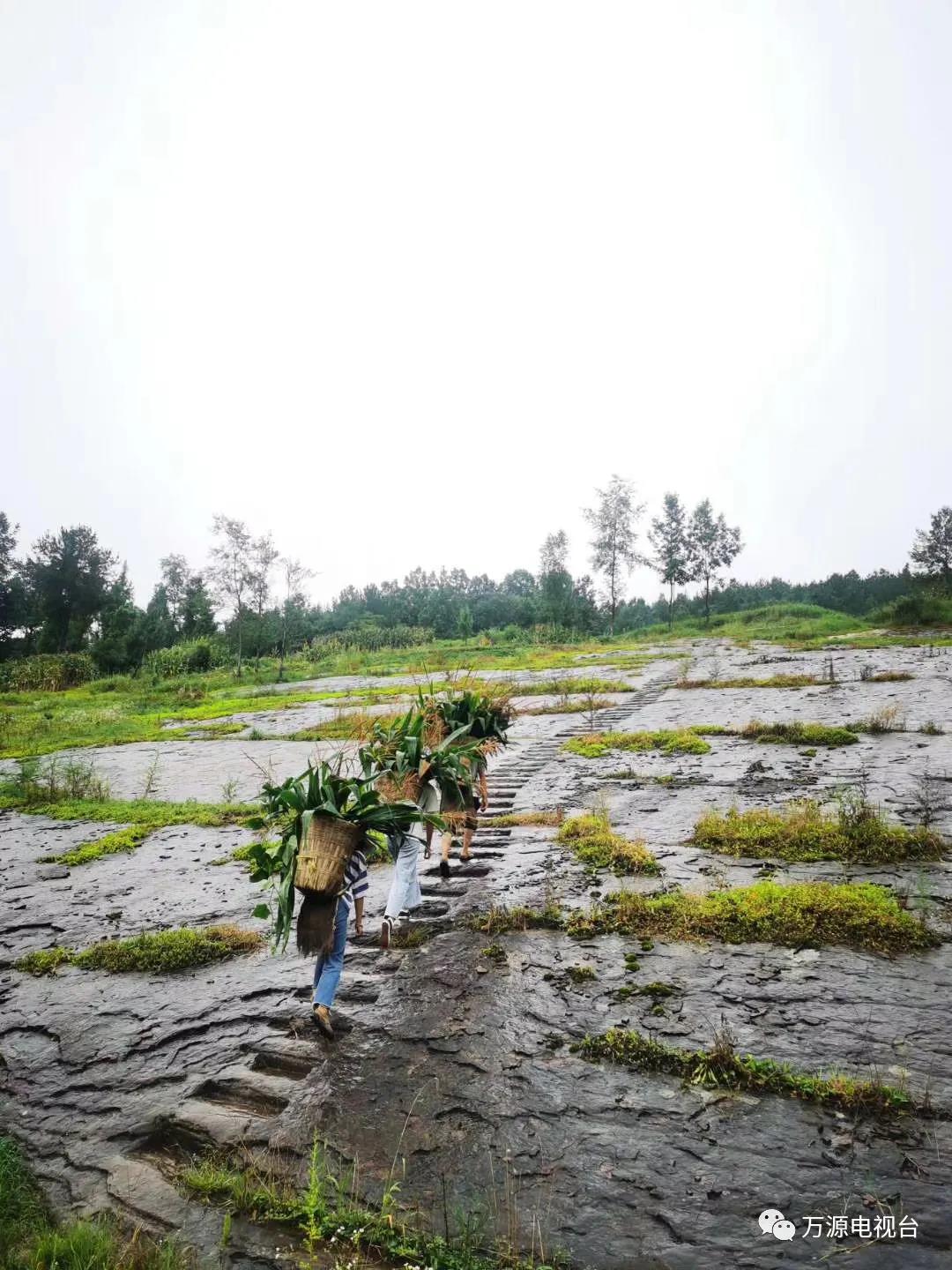 清澈的绿水流淌在植被茂密的山间,犹如跳动的音符,给沉静的大山增添了