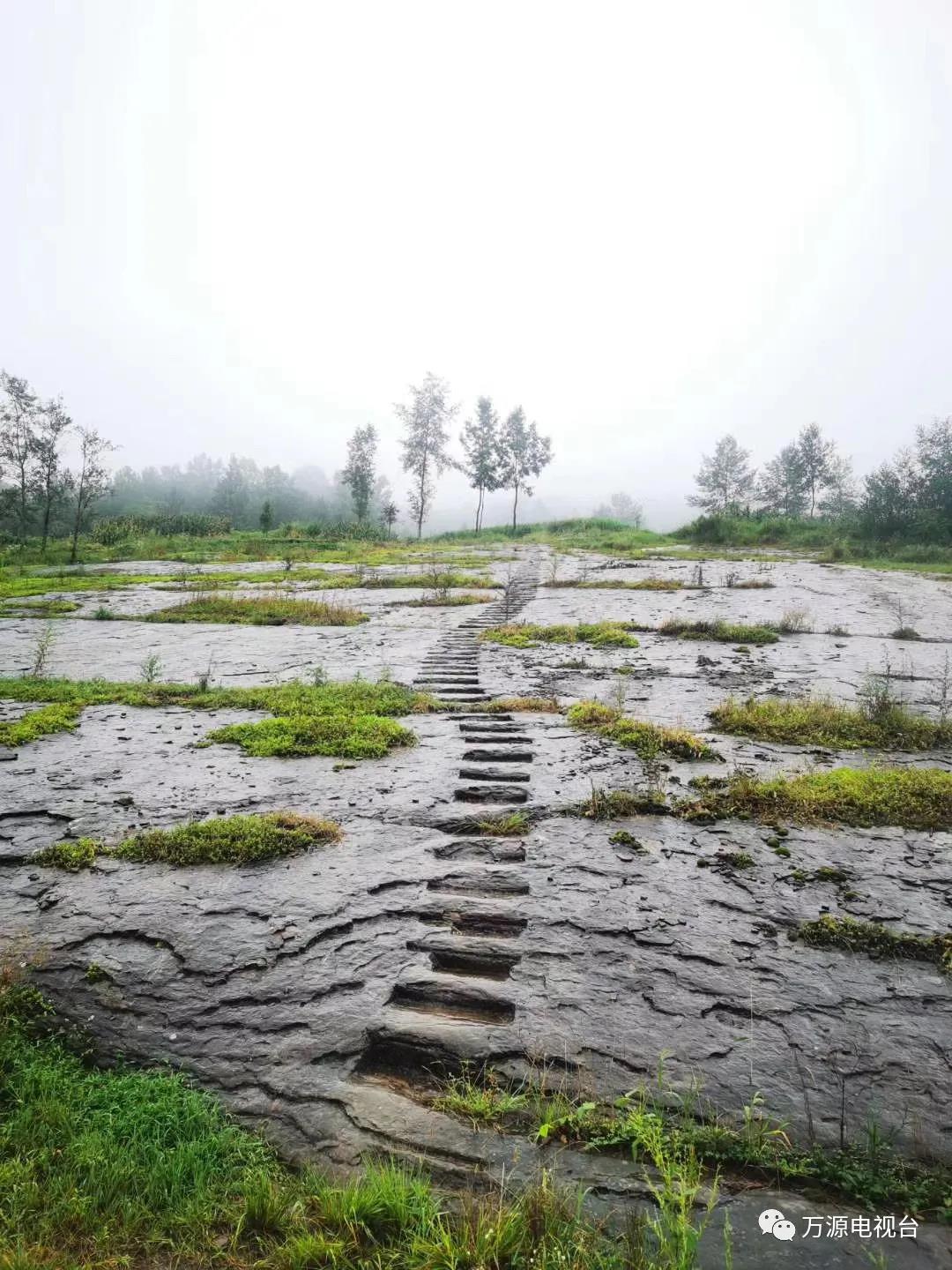 万物携带甘霖雨露,从睡梦中醒来