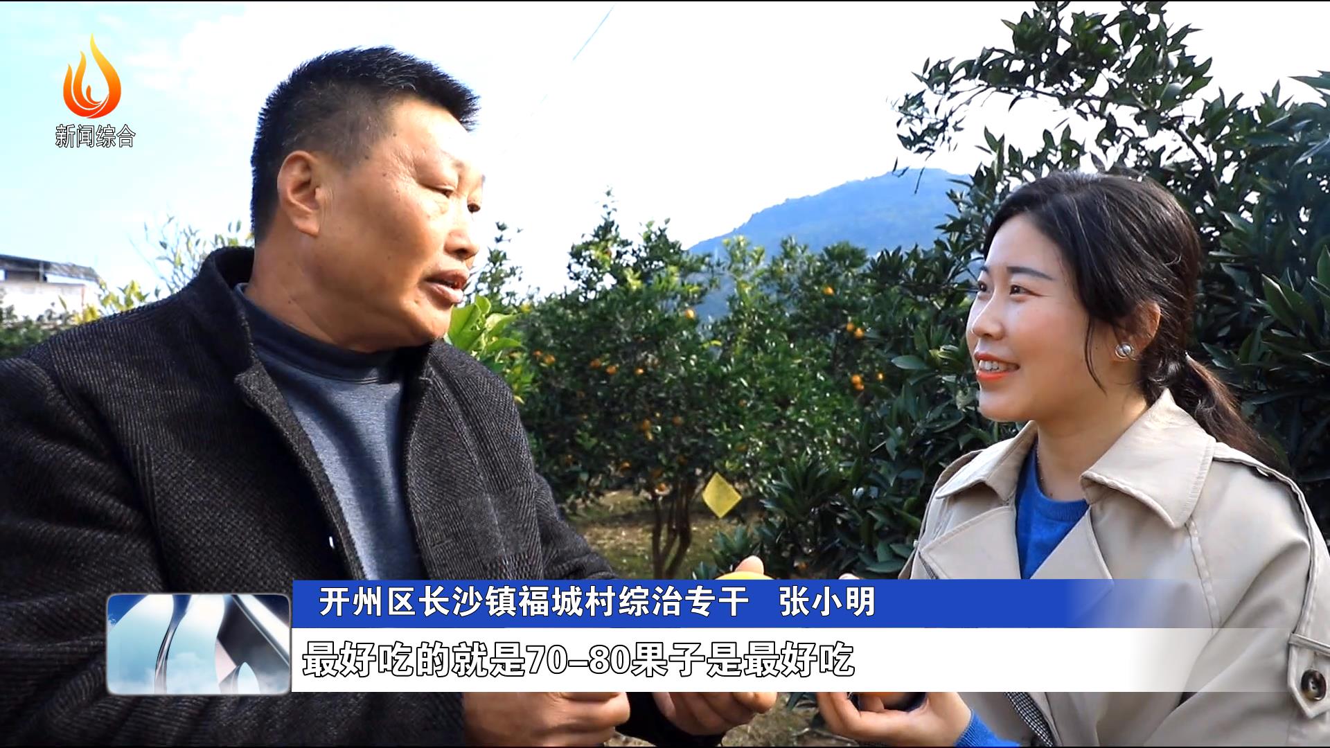 开州区:长沙镇万亩柑橘丰收