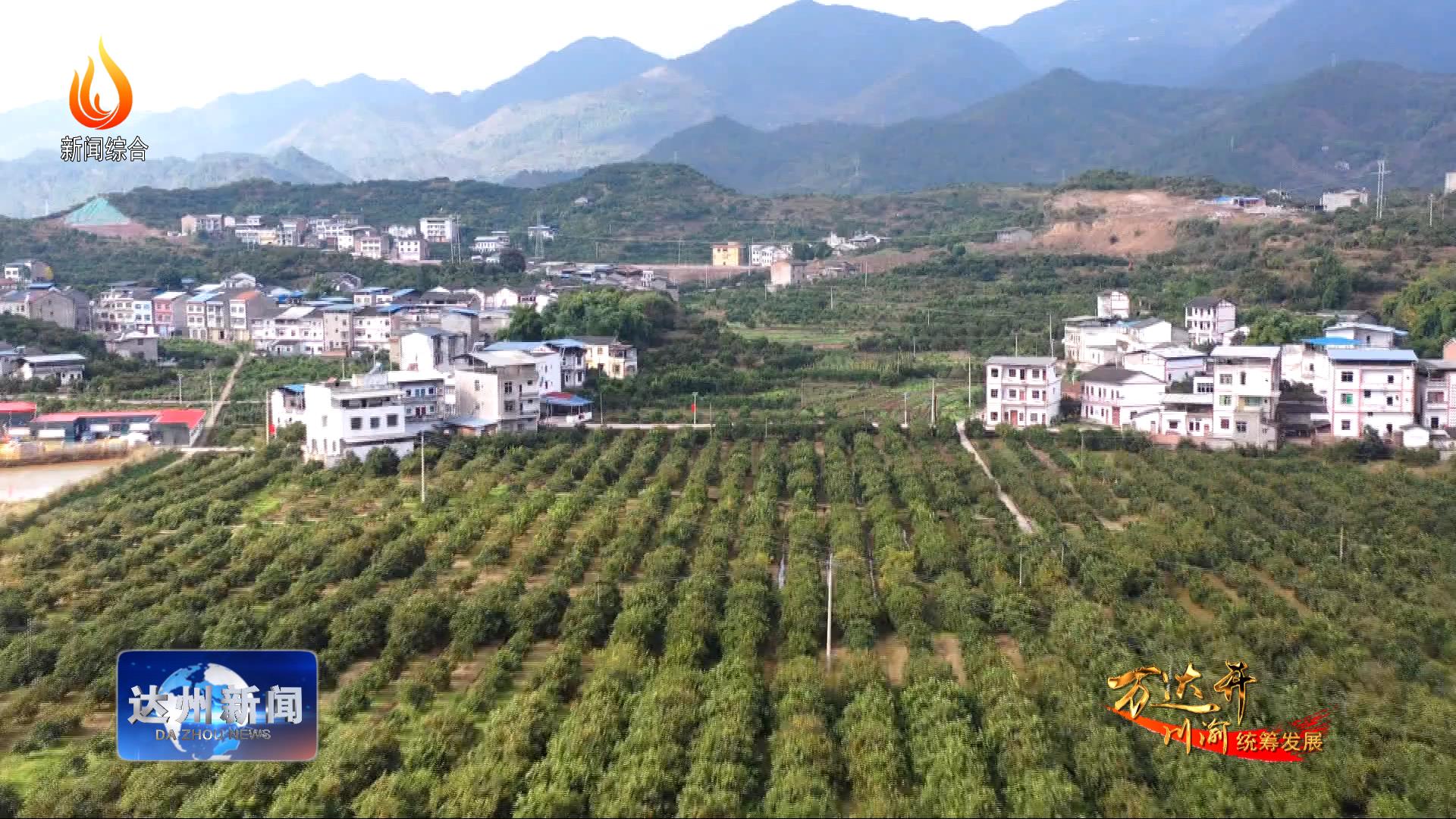开州区:长沙镇万亩柑橘丰收