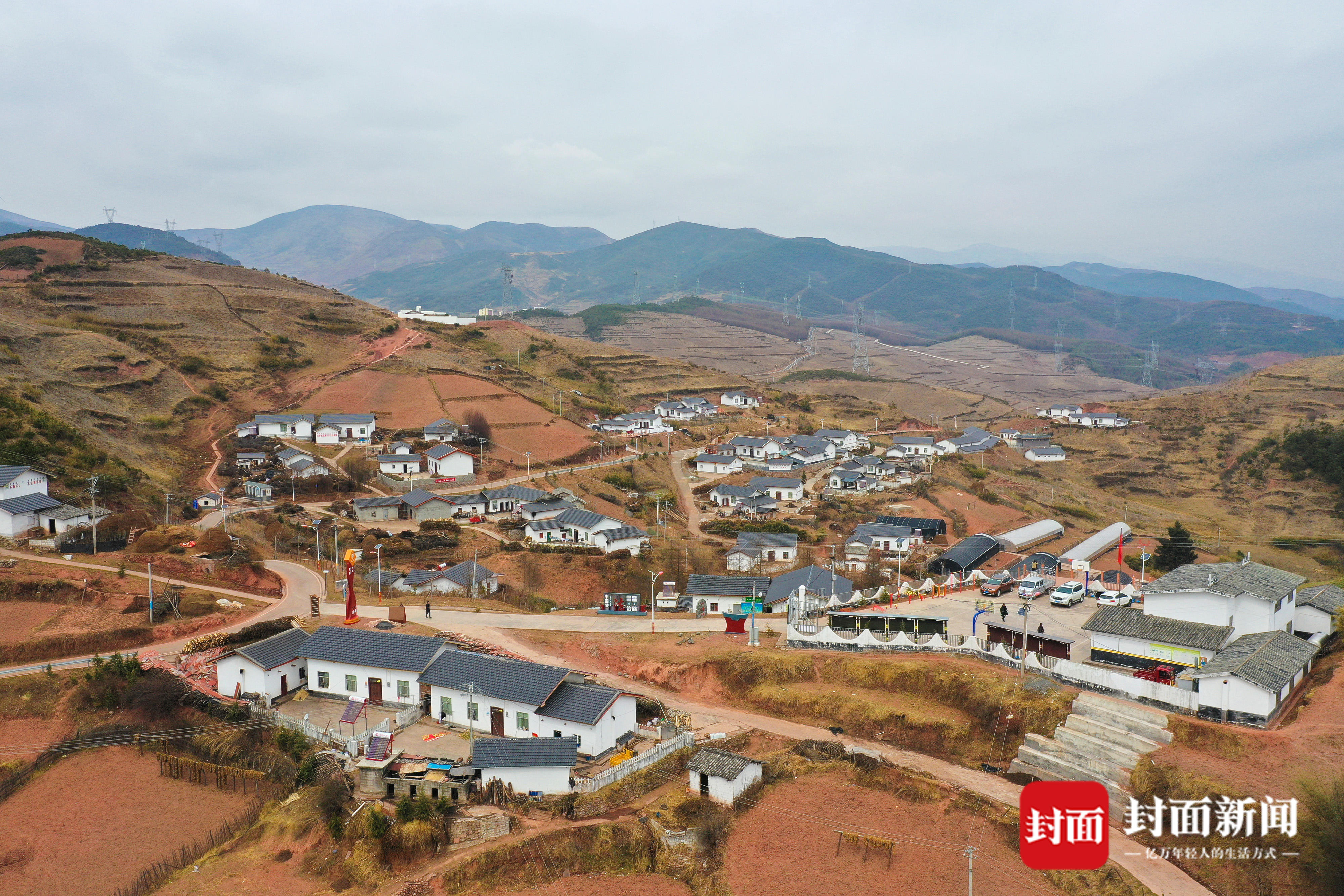 凉山火普村:高山蓝莓试种成功 村民人均纯收入已达1.