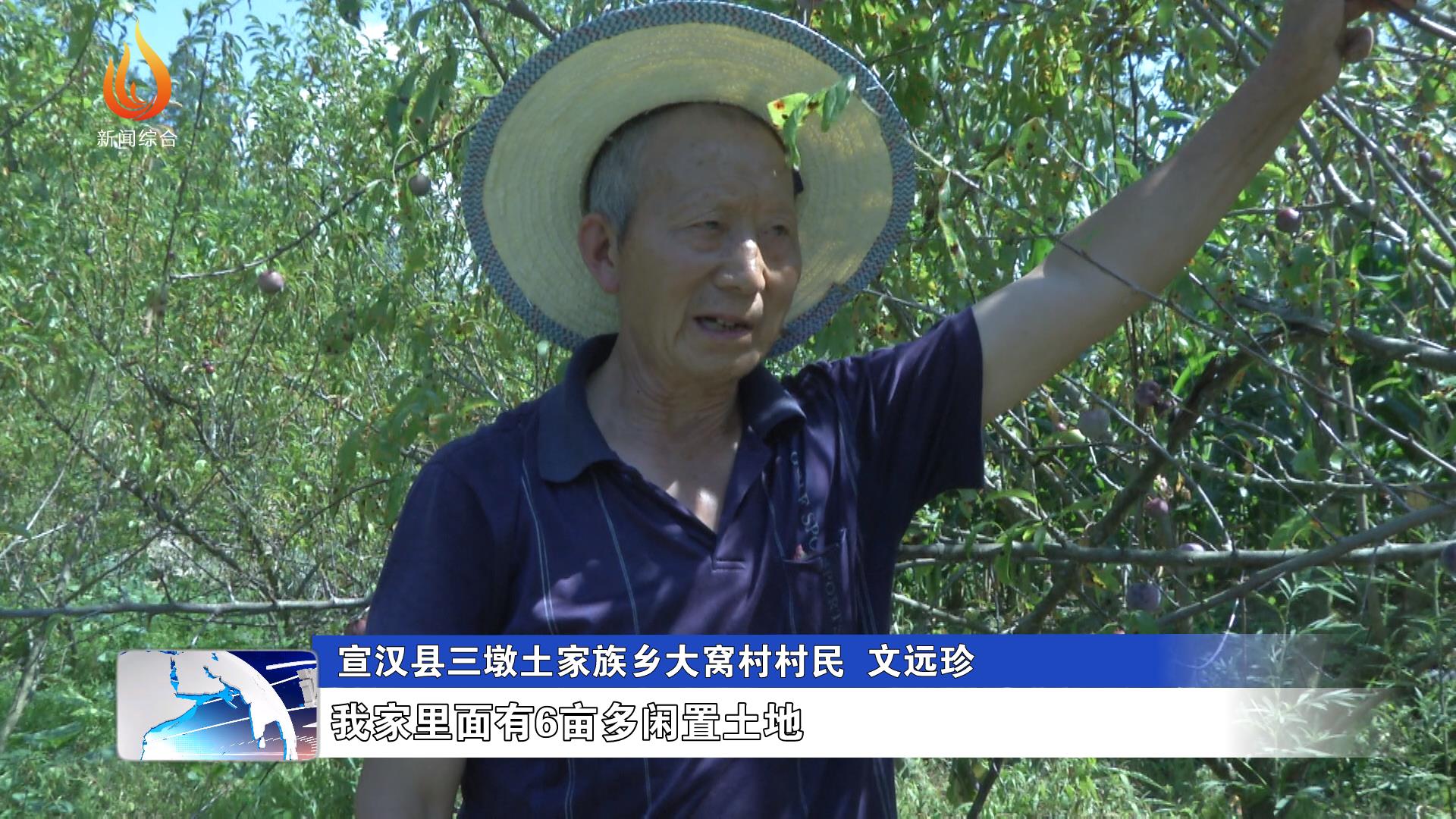 宣汉县三墩土家族乡大窝村村民 文远珍:我家里面有6亩多闲置土地,就种