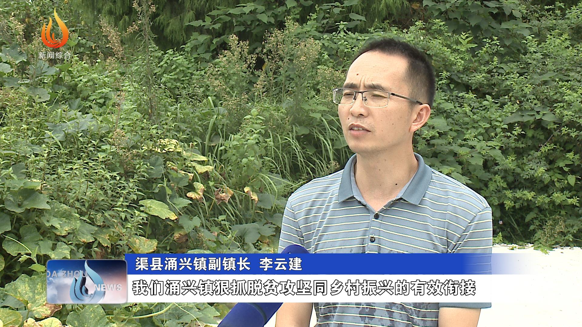 渠县涌兴镇践行绿色发展理念发展健康绿色养殖