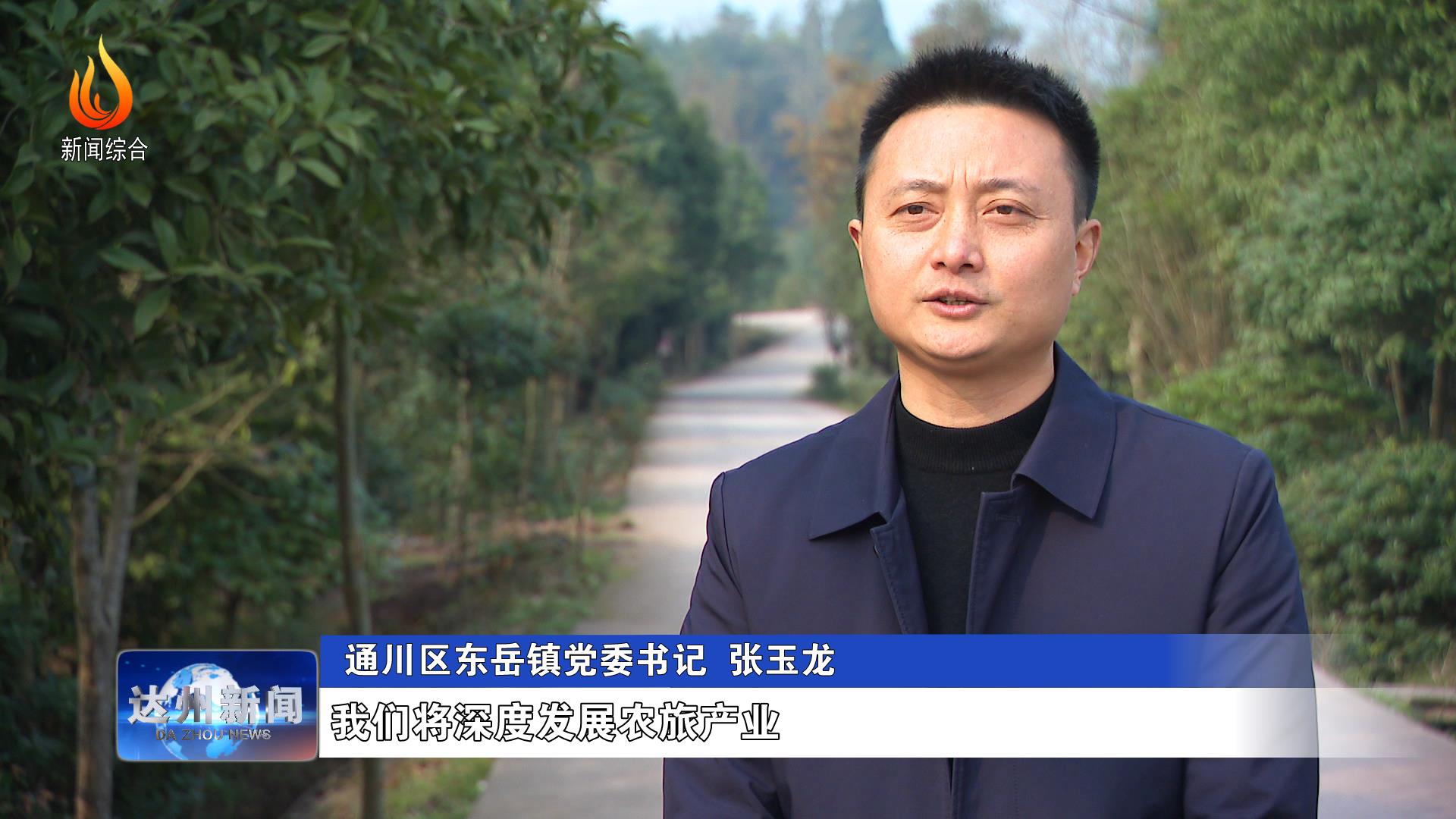 通川区东岳镇党委书记 张玉龙:我们将深度发展农旅产业,让我们凤凰村
