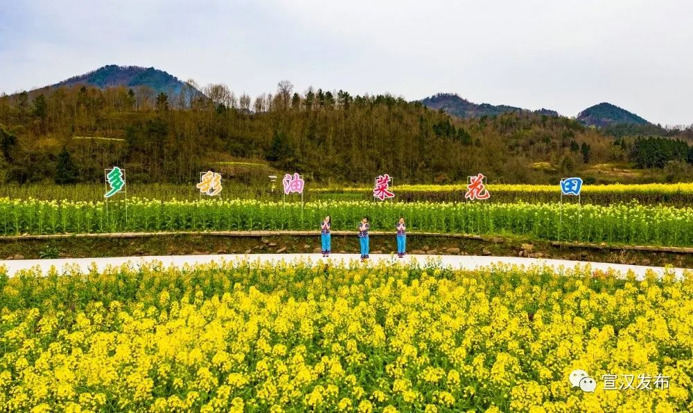 花開宣漢你聽盛開的花兒會說話