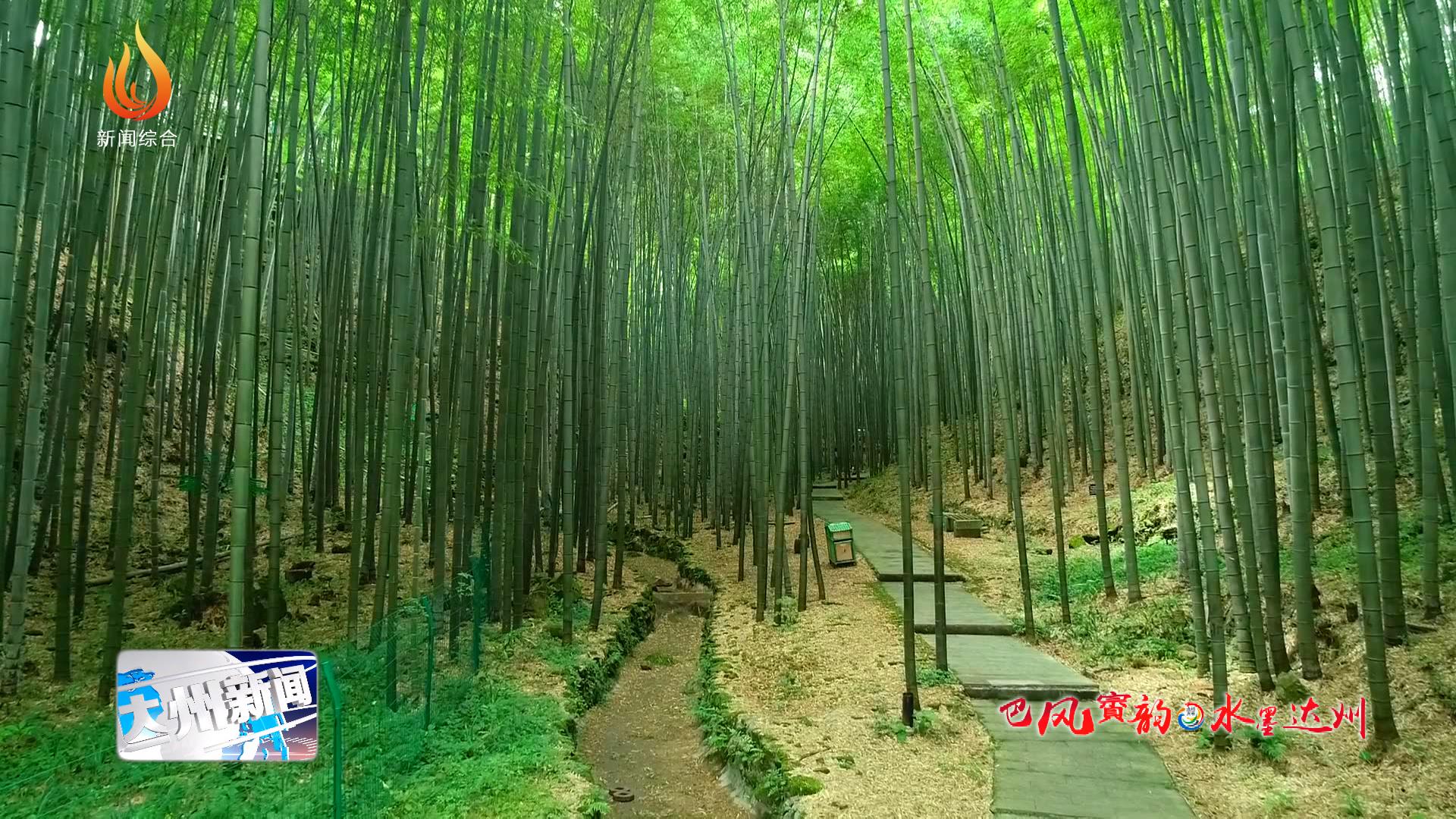 峨城竹海公园位于宣汉县东南部峨城山系,为国家aaaa级旅游风景区,面积