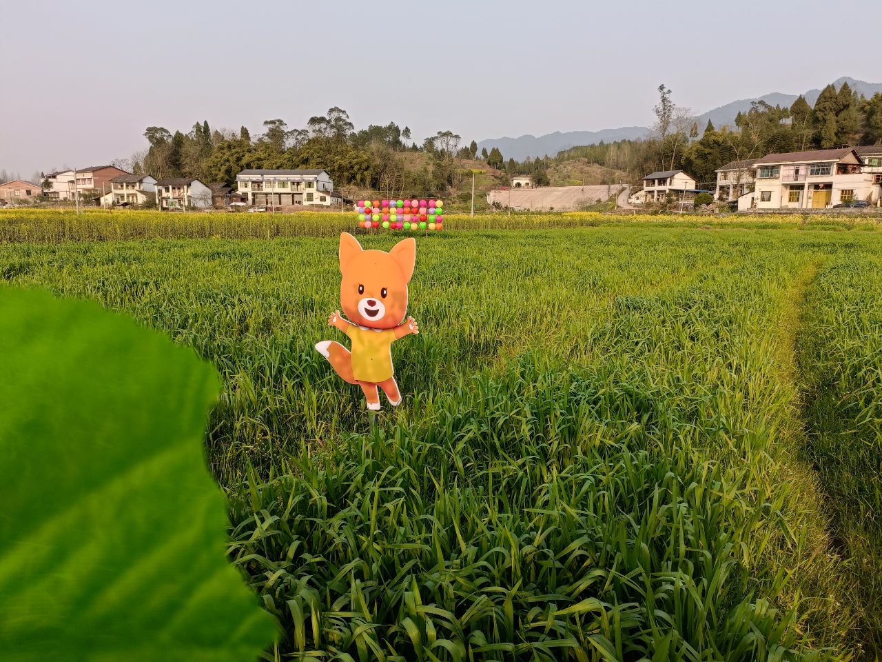 达观拍客宣汉天生镇新芽村田园风光