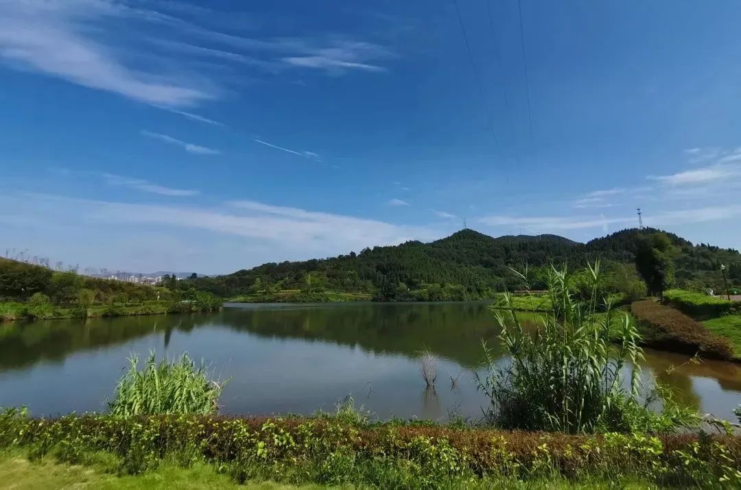 梨樹坪溼地公園讓最美景區名片更加閃亮