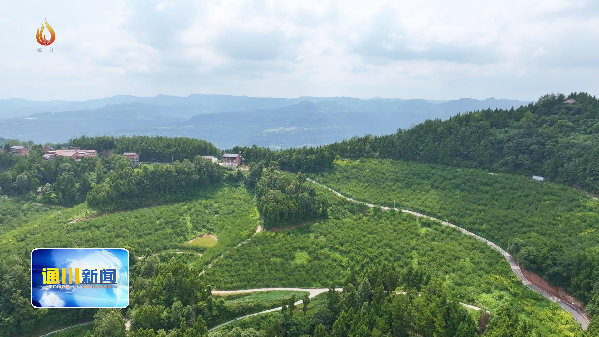 通川区北山镇图片