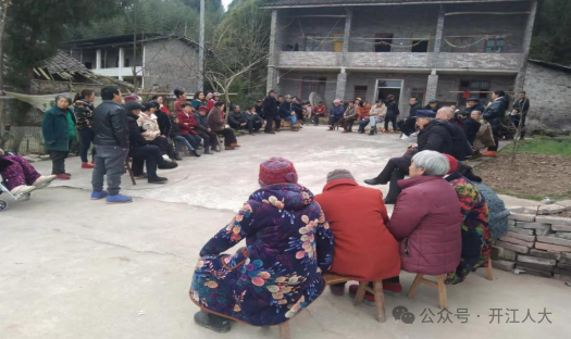 开江县长岭镇做实事助春耕人大代表在行动