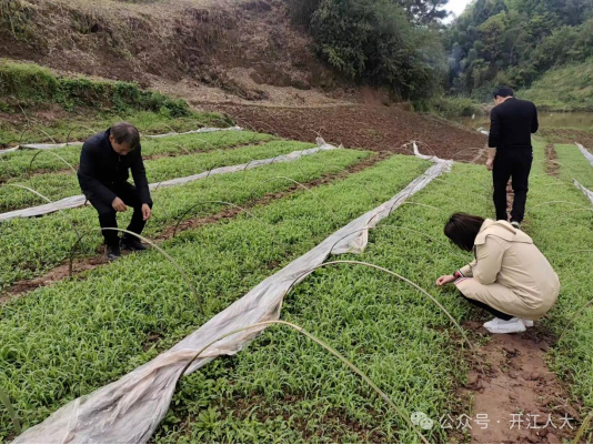 开江县长岭镇做实事助春耕人大代表在行动