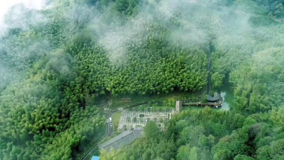 當然真佛山,鐵山森林公園,雷音鋪森林公園,仙女山小編也極力推薦哦!